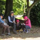 강창학경기장 주변숲길(동아마라톤 코스) 이미지