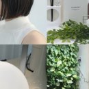 Hair 326#