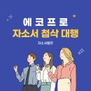 에이치알프로컨설팅 | 에코프로 자소서 작성 컨설팅 합격 후기