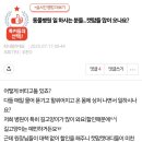 대디동물병원 이미지