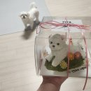 이야(YIYA) | 송도 수제 강아지 케이크 추천: 펫푸드 맛집 이야(YIYA)