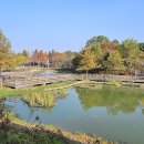 왕송호수캠핑장 이미지