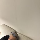 장발에서빡빡까지 | 수많은 두쫀쿠들