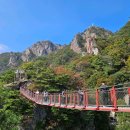태백김약국 | 동학 농민 봉기