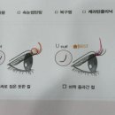 뷰러랑 이별했어요… 부평 속눈썹펌 리얼후기 &lt;리썸유 뷰티&gt;