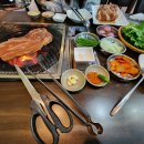 은행나무갈매기 이미지