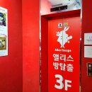 주식회사 스마트두꺼비 | [동성로 방탈출] 대구 이색데이트 : 앨리스 이스케이프 / 사가와잇세이 후기