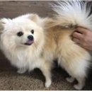 온천천남로 이미지