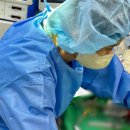 오케이동물병원 이미지