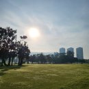 이노시티 이미지