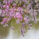 꽃들의이야기 이미지