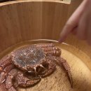 대로노모당 | 삿포로 털게 맛집 빙설의문 효우세츠노몬 런치 디너 코스 후기! 가격과 예약방법