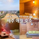 애월의아침 민박 | 제주 애월 숙소 가성비 펜션 제주도 한달살기 리브애니웨어 포룸