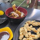 뚱보족발 | 25년 10월 첫째주 주간일기(뚱보가 열심히 사는 하루들 모음)