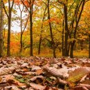 용산-후암-1980 이미지