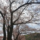 신평동1083 | 경주 당일치기 여행 다녀온 후기