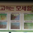 빛과솔