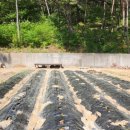 회동농장 이미지