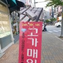 루디아패션 이미지