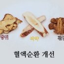 모든장기의 기능을 활성화하는 원기회복에 좋은 약 '오적산 조회수 2만회 5년 전 이미지