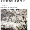 [뉴스] 강석우, &#39;종점여행3&#39;로 사천 힐링 여행 나서 이미지