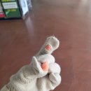 현대장갑 | 여성겨울 니트장갑 추천 모어스샵, 여성겨울 니트장갑 추천 및 후기