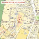 돈달로 이미지