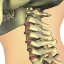 신통한의원 이미지