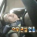 후와후와 이미지
