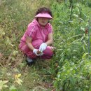 배영농장 이미지