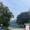 목벌길 | 충주여행 맛집 | 남벌횟집, 충주호 송어회+얼큰 매운탕 제대로 즐긴 후기