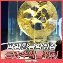 오복테크 이미지