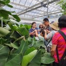 금산군농업기술센터 | 금산군농업기술센터, 농업환경체험관 이용하세요