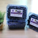 섬진강 더골드 이미지