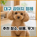 대구 강아지 장례 어디가 좋을까? 대구 애견 장례식장 추천 장소 2곳 비용, 후기 총정리
