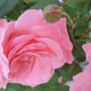 셀세모문경점 공룡셀프세차장 이미지