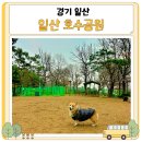 지도공원(관리사 옆) | 일산호수공원 지도 주차장 산책로 반려견놀이터 무료 후기