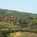 홍운농장 | 28. 산정화