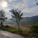 세븐일레븐 가평목동점 이미지