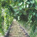 문식농장 이미지