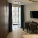 호텔 더 보타닉 세운 명동(B동) | 서울 호텔 더 보타닉 세운 명동 을지로 가성비 숙소 추천