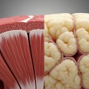 파워에어로빅 이미지