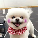 리트그룸 이미지