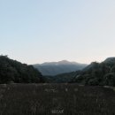 동산서점