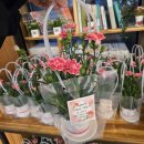 어버이날 기념 꽃화분 증정식 (5.4.) 이미지