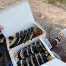 오 킴밥 이미지