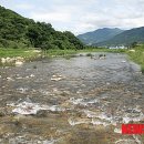 지정면 (장지동)