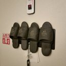 카카오호텔(Hotel Cacao) | 인천 남동구 논현동 숙소 호텔카카오 소래포구점 펜트하우스룸에서 1박 2일