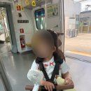 36개월 아이랑 제주도 에코랜드호텔 숙박 후기