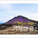 제158차 정기산행 경남 거제 대금산(437.5m) *진달래3대명산/진홍빛꽃평원* 산행공지 2014.04.13. 06:00출발 이미지